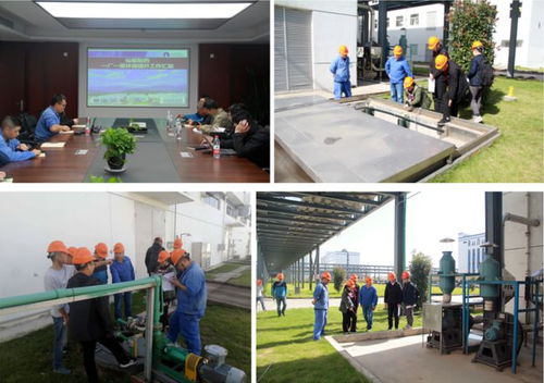 综合治理进行时 专家全流程检验指导，服务企业促提升