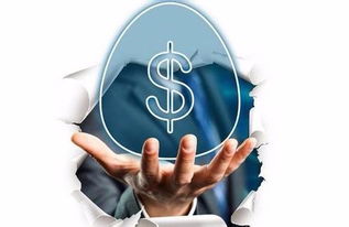 网贷信披指引透露的信号与信息咨询服务的重要性